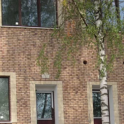 Декоративный камень рижский кирпич 