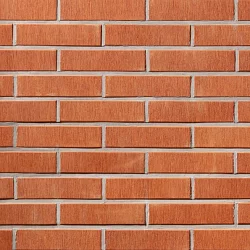 Керамическая облицовочная плитка Lode ASAIS JANKA, 250x65x10