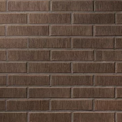 Керамическая облицовочная плитка Lode ASAIS BRUNIS, 250x65x10